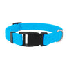 A bright blue nylon dog collar with a black quick-release buckle.
