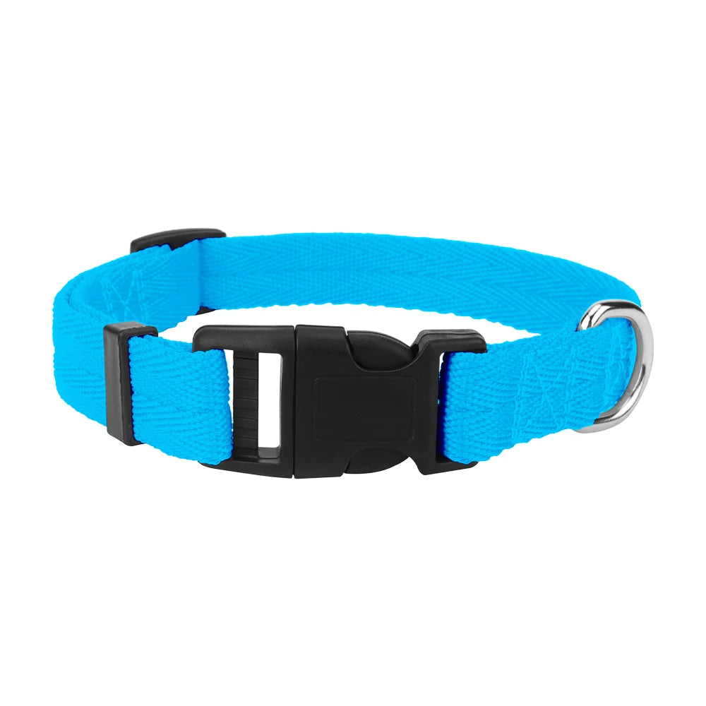 A bright blue nylon dog collar with a black quick-release buckle.