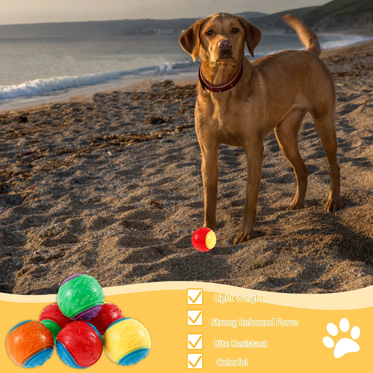 Squeaky Dog Balls (6-Pack) – Durable TPR Chew Toys for Interactive Play