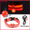 USB Charging Glowing Dog Collar with Pendant - Night Safety