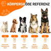 Reference chart showing dog breeds categorized by size XS to XL with corresponding breed examples.