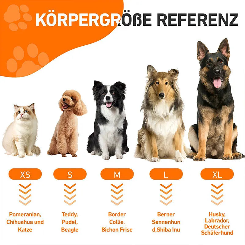 Reference chart showing dog breeds categorized by size XS to XL with corresponding breed examples.