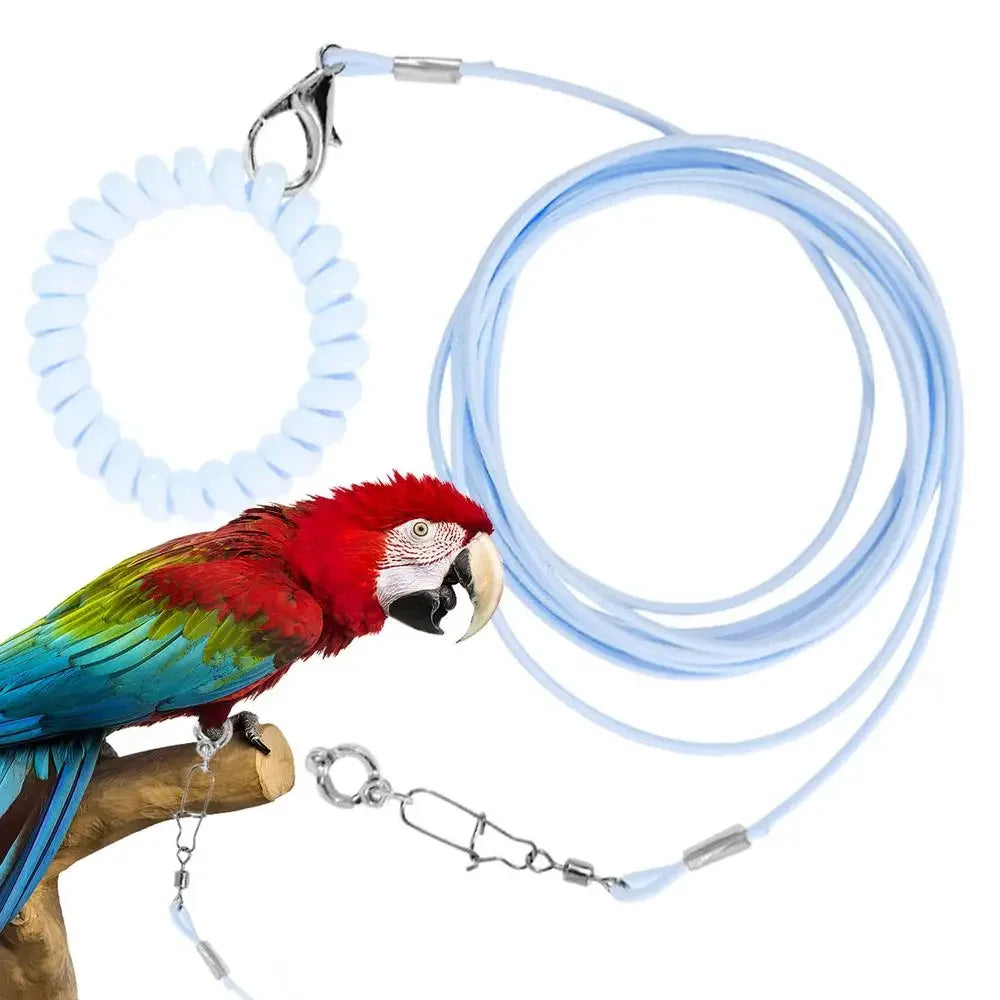 A blue parrot flight training leash with a foot ring and a flexible blue cord.