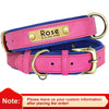 Personalisierte gepolsterte Leder-Hundehalsband mit graviertem Namensschild