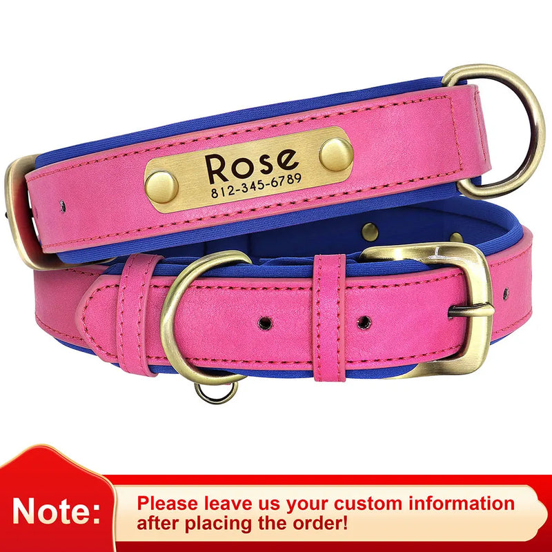 Personalisierte gepolsterte Leder-Hundehalsband mit graviertem Namensschild