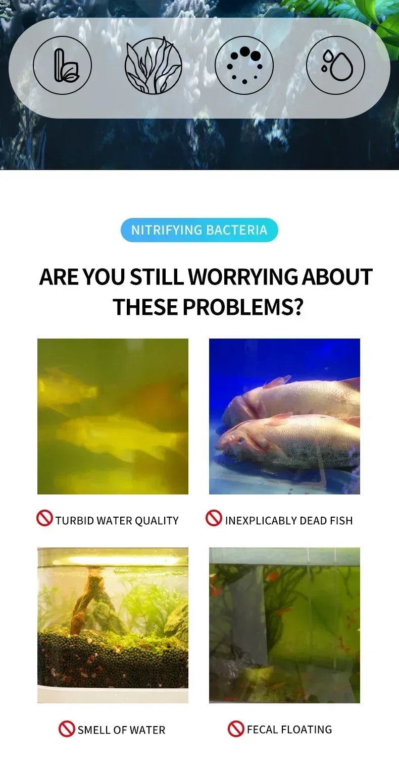 Bactéries nitrifiantes liquides 300ml pour le traitement de l'eau d'aquarium