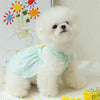 Princess Mesh Dog Dress with Bow Lace Trim