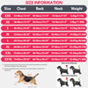 Dog Recovery Suit – Anti-Licking Protective Onesie for Post-Surgery & Wound Care