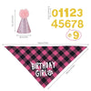 A pink glitter party hat, gold numbers 01123456789, and a pink checkered birthday bandana.