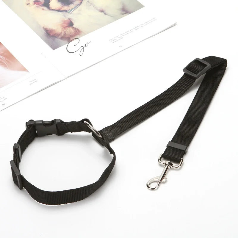 Black adjustable car safety belt and leash for a small or medium dog