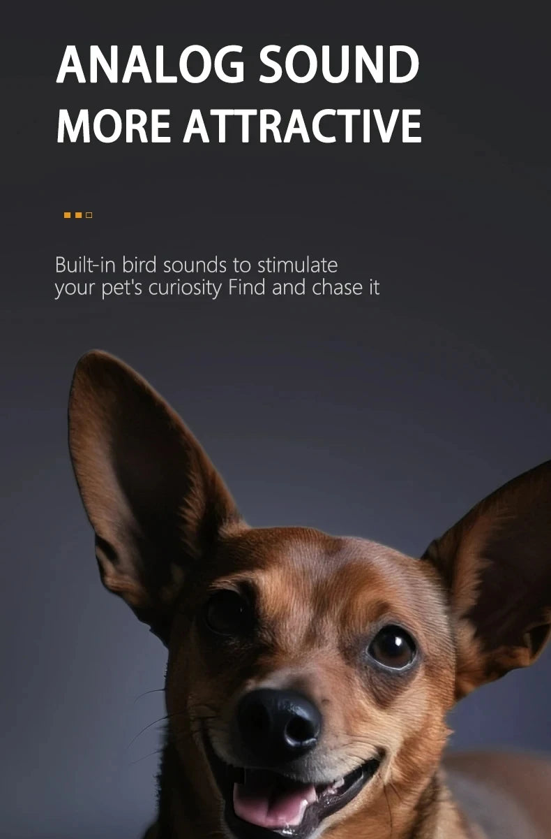 A close-up of a dog's face looking directly at the camera, with an ear visible.
