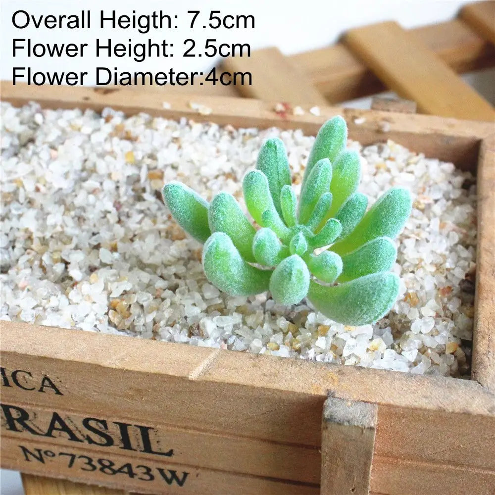 A small, light green succulent plant is displayed in a wooden box filled with white gravel.