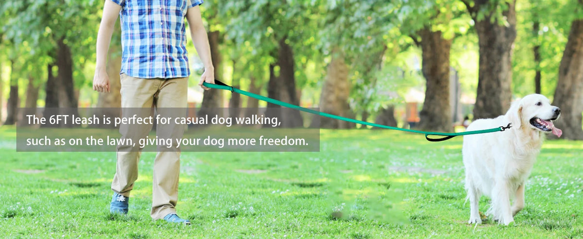 A person is walking a white dog on a green leash in a park setting.