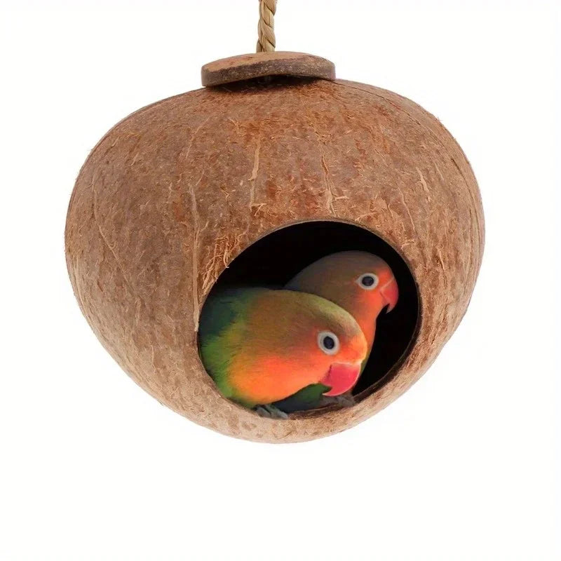 A natural coconut shell bird nest with a hole, showing a colorful parrot inside.