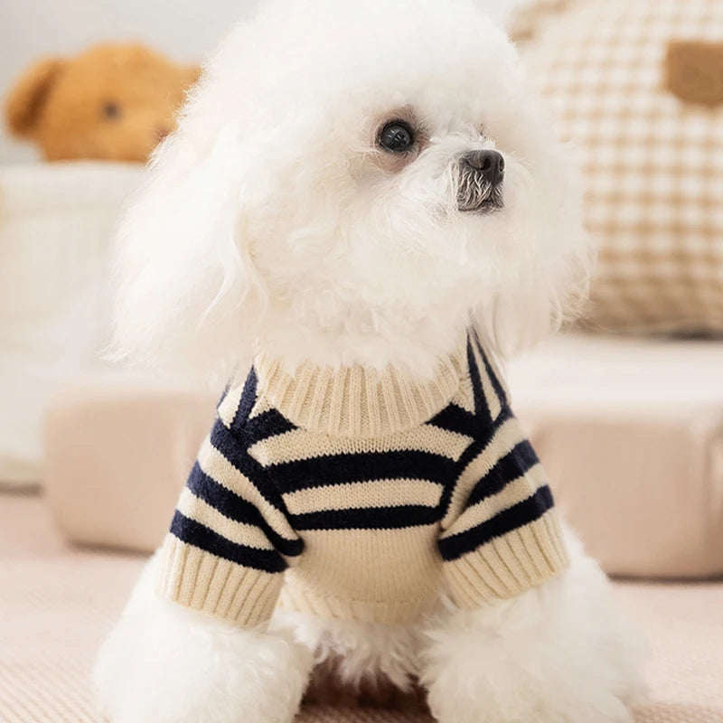 A fluffy white dog wearing a beige and navy striped knit sweater.