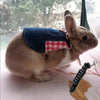 Un lapin brun avec un gilet en denim et un col à carreaux rouges assis sur une surface blanche.