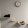 Wall-Mounted Cat Climbing Shelves with Hammock and Scratching Post