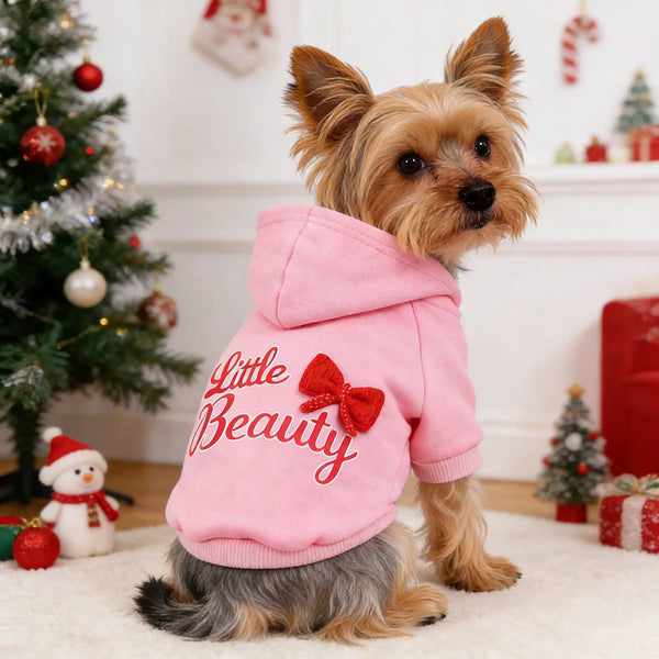 Ein kleiner, flauschiger Hund trägt einen rosa Briefdruck-Hoodie in festlicher Weihnachtsdekoration.