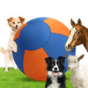 Three dogs—a golden retriever, a black and white dog, and a white dog—stand next to a large blue and orange dog ball on green