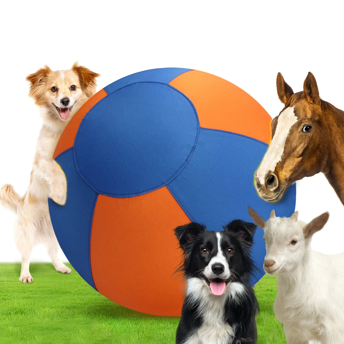 Three dogs—a golden retriever, a black and white dog, and a white dog—stand next to a large blue and orange dog ball on green