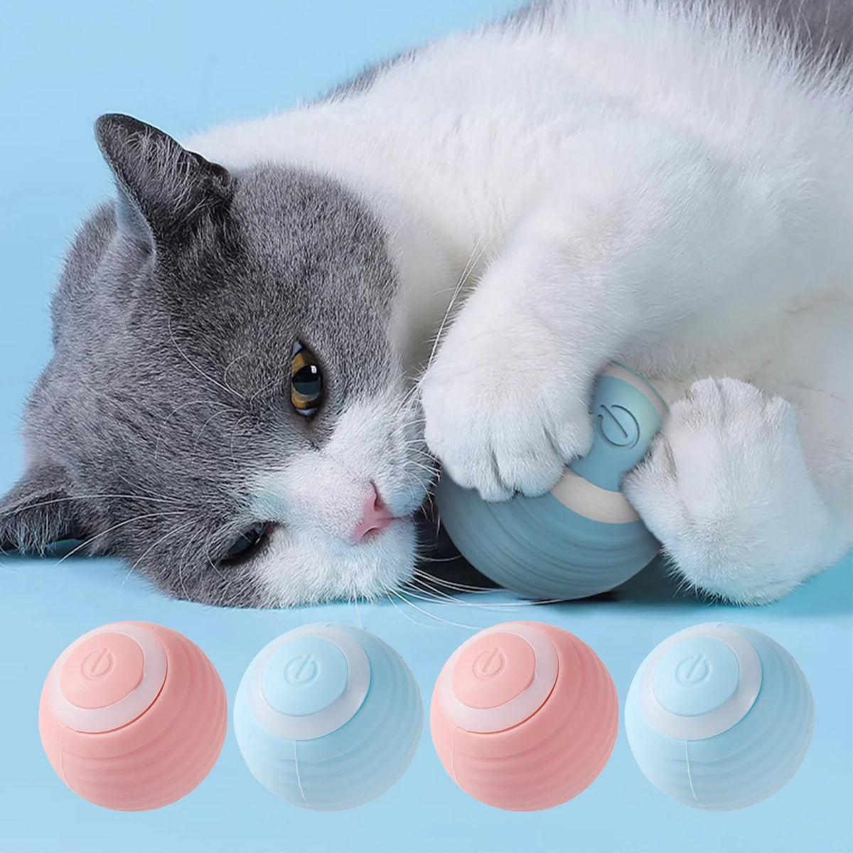 Eine grau-weiße Katze interagiert mit einer hellblauen Silikonkugel in Form eines Spielzeugs.