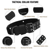 Heavy-Duty Nylon Dog Collar with Padded Lining and Metal Buckle