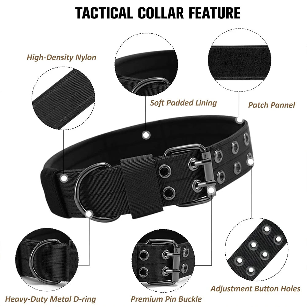 Heavy-Duty Nylon Dog Collar with Padded Lining and Metal Buckle