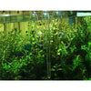 Aquarium Lily Pipe Inflow Outflow Kit 12/16mm