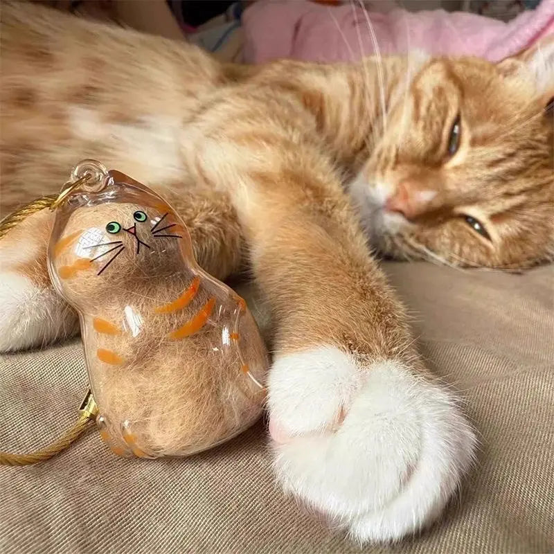Ein flauschiger orange tabby Kater liegt und hat eine klare Glas-Haaraufbewahrungs-Schlüsselanhänger an seiner Pfote.