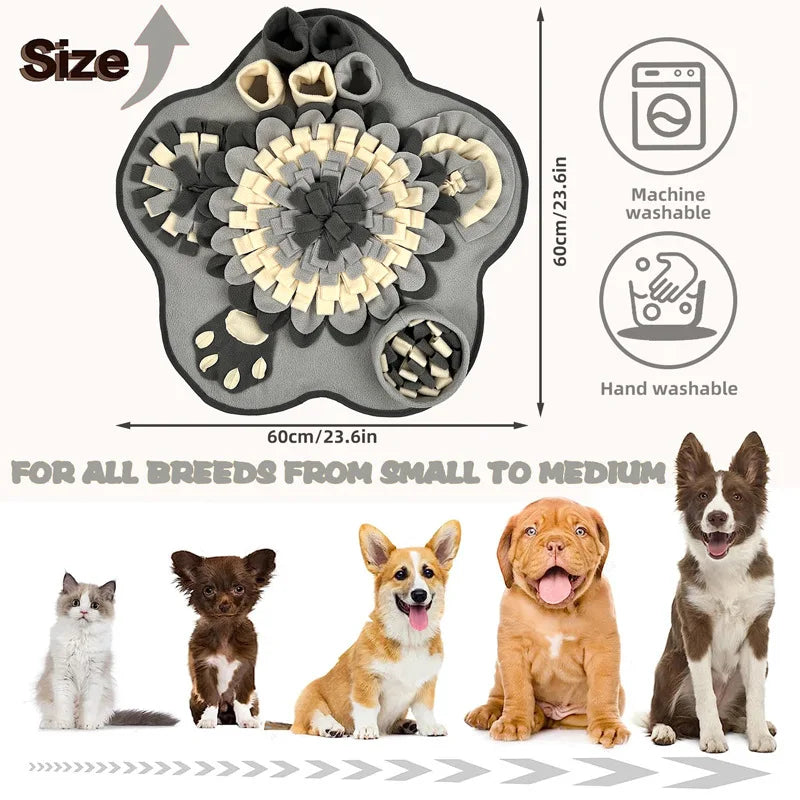 A gray pet sniffing training blanket with various textured surfaces for dogs, shown next to different sized dogs.