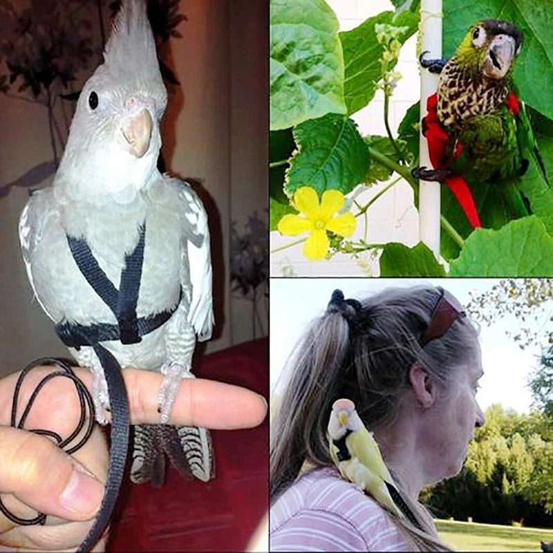 Bird Harness and Leash Set for Outdoor Adventures