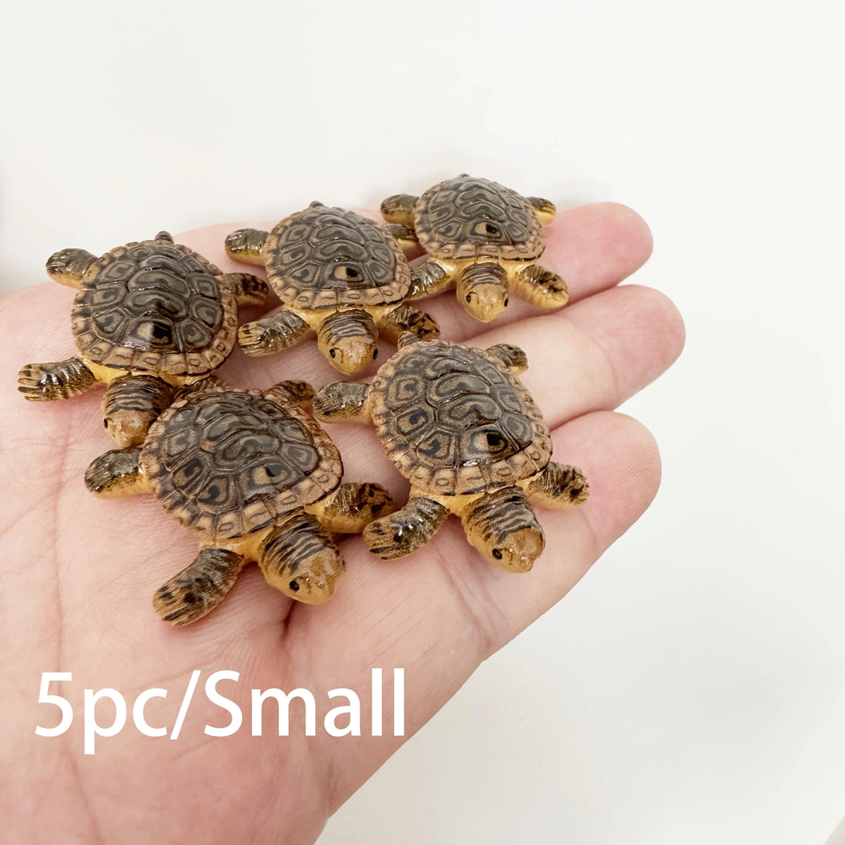A hand holds five small turtle floating ornaments for ponds and aquariums