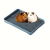 A blue pet litter box tray with two guinea pigs, one brown and one white, sitting inside.