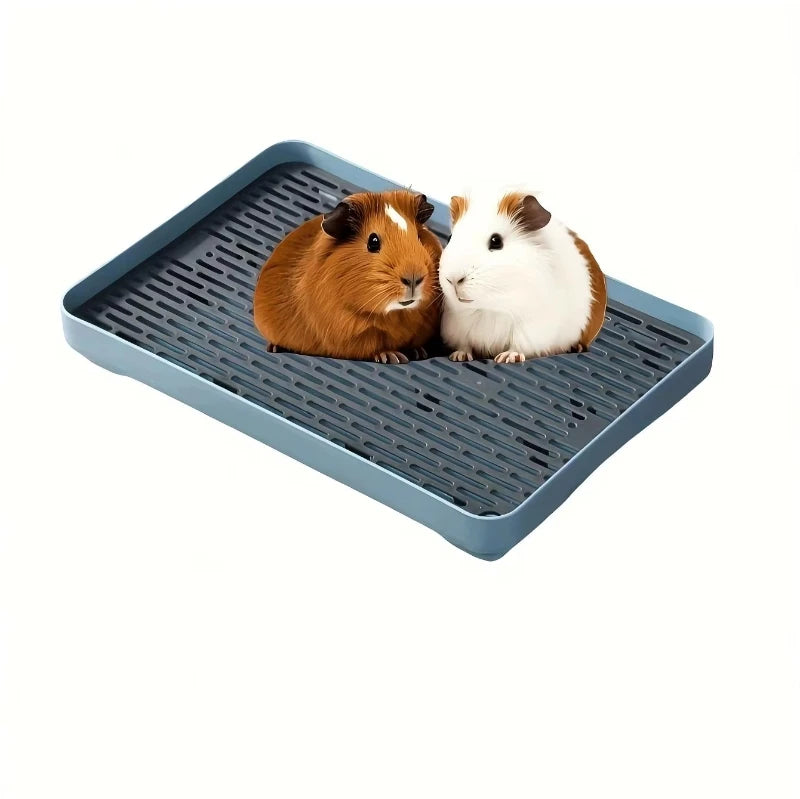A blue pet litter box tray with two guinea pigs, one brown and one white, sitting inside.