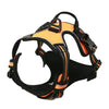 Hundegeschirr-Set aus Leder: Halsband, Geschirr & Leine