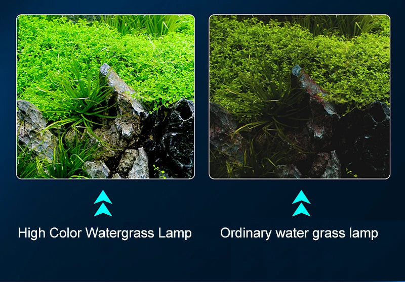 Lampe LED à pince réglable pour aquarium