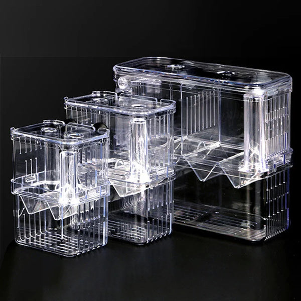 Cage d'isolement pour reproduction en aquarium