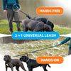 Hands-Free Double Dog Leash for Two Dogs – Padded Handles & Reflective Stitching for Medium and Large Breeds