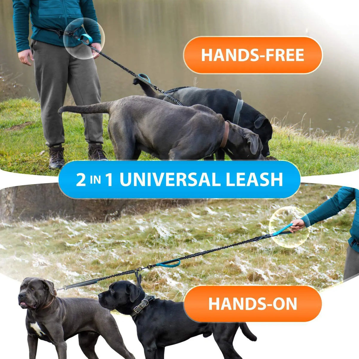 Hands-Free Double Dog Leash for Two Dogs – Padded Handles & Reflective Stitching for Medium and Large Breeds