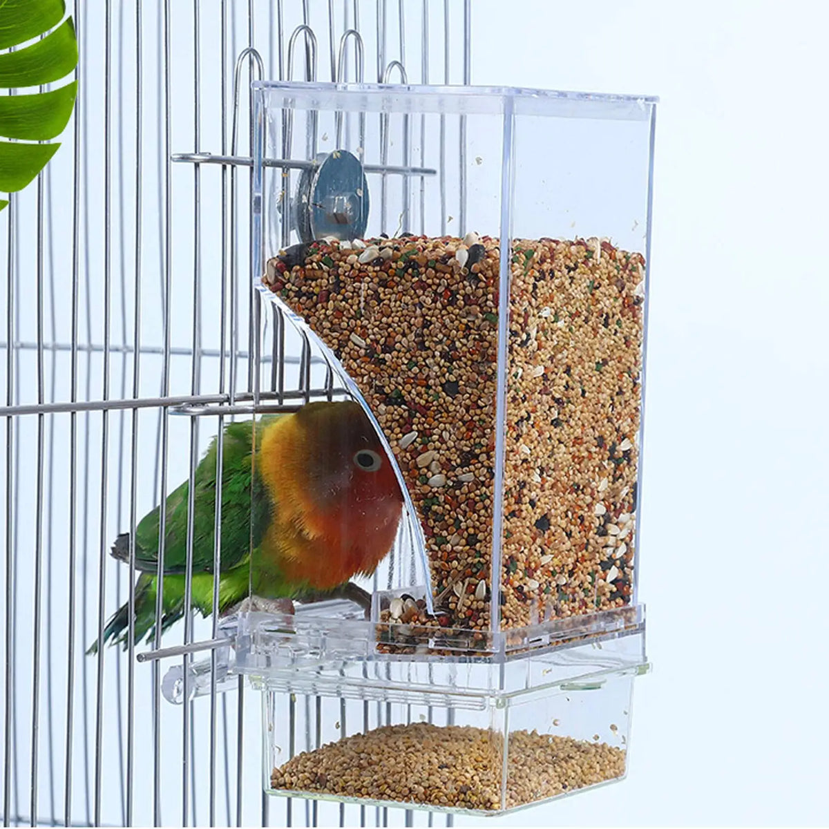 No-Spill Bird Feeder and Water Dispenser for Small to Medium Birds