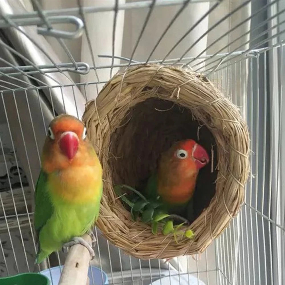 A small orange and green bird is perched inside a handmade natural straw nest in a wire cage.