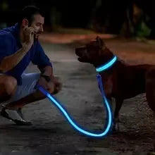 USB-aufladbarer LED-Hundehalsband für Nachtsicherheit