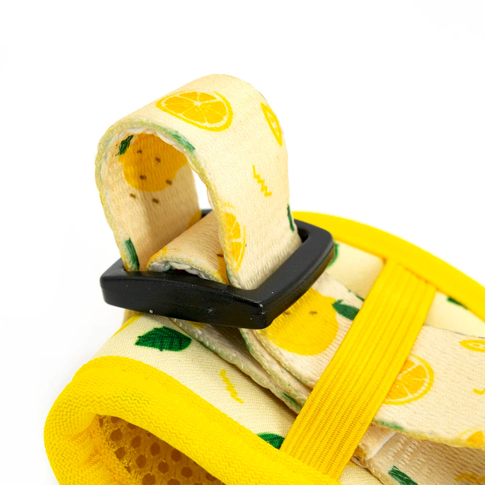 A close-up of a light yellow dog collar with a lemon print pattern and black buckle.
