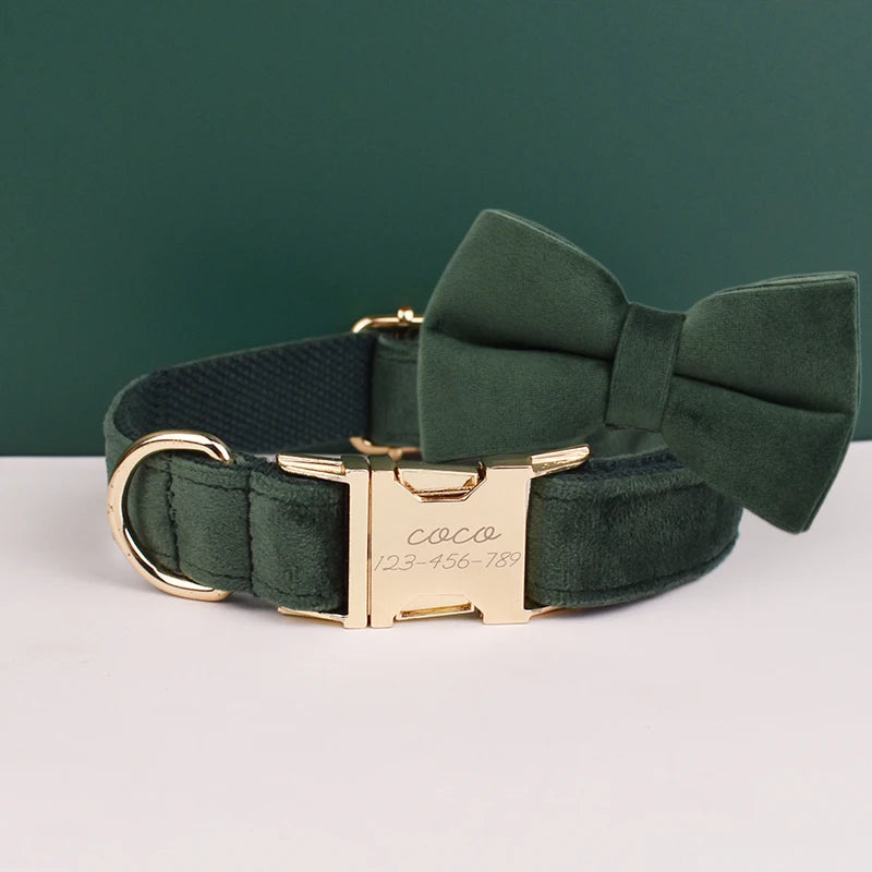 Set de collar, correa y arnés de terciopelo verde oliva oscuro con herrajes dorados.