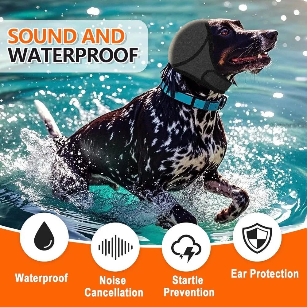 A black dog wearing a gray waterproof headpiece is running through splashing water, demonstrating noise cancellation and ear 