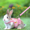 Adjustable Mesh Harness with Leash for Small Pets