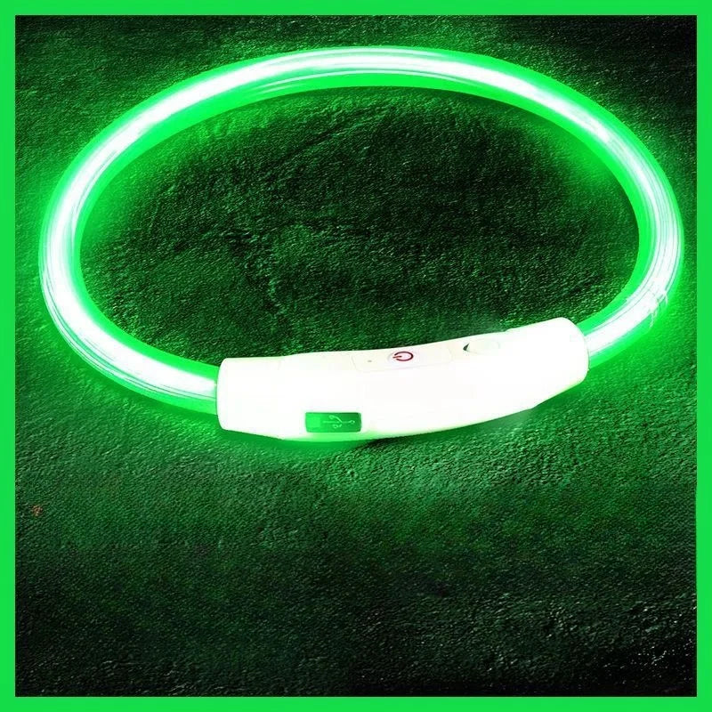 USB-aufladbarer LED-Hundehalsband