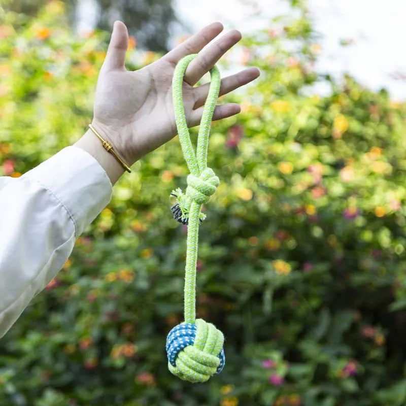 A hand holds a green cotton rope dog toy with blue accents against a blurred green outdoor background.