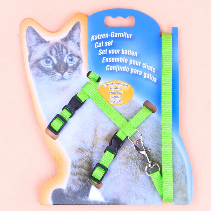 A set of adjustable green and black chest straps for cats packaged in a blue cardboard holder.