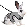 Un lapin blanc portant un harnais et une laisse en filet noir.